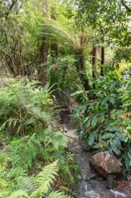 Vila Paddys Creek Retreat Upwey Exteriér fotografie