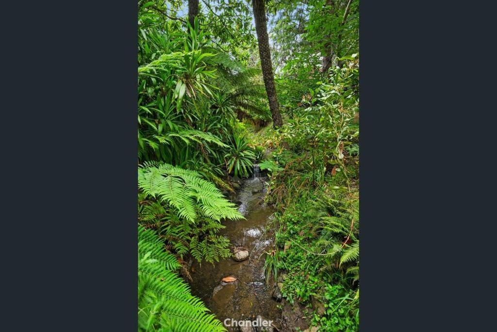 Vila Paddys Creek Retreat Upwey Exteriér fotografie